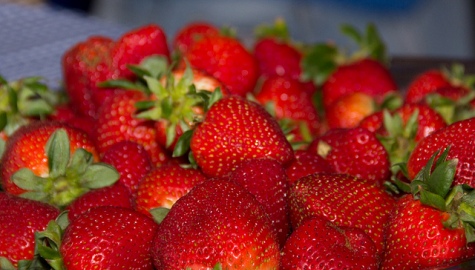 The 26th Annual Elmwood Strawberry Festival | WVEL-AM